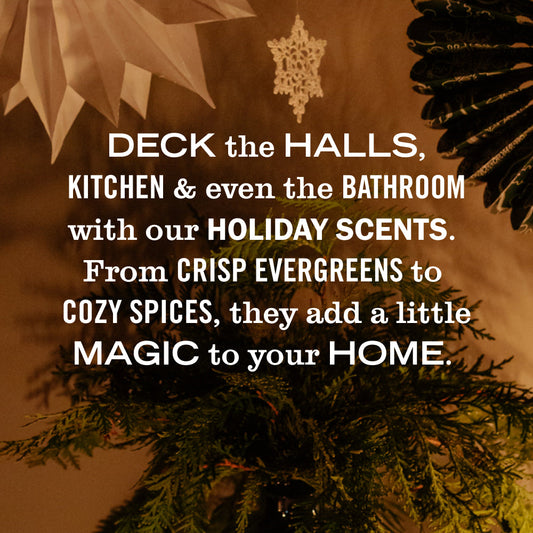 Holiday Seasonal Multi-Surface Everyday Cleaner Collection