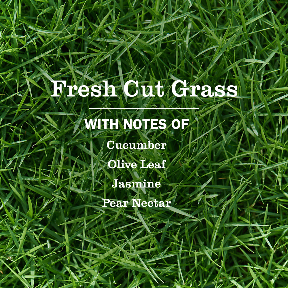 Fresh Cut Grass Plug in Scented Oil Warmer With Refill