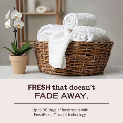 Birchwood Laundry Detergent