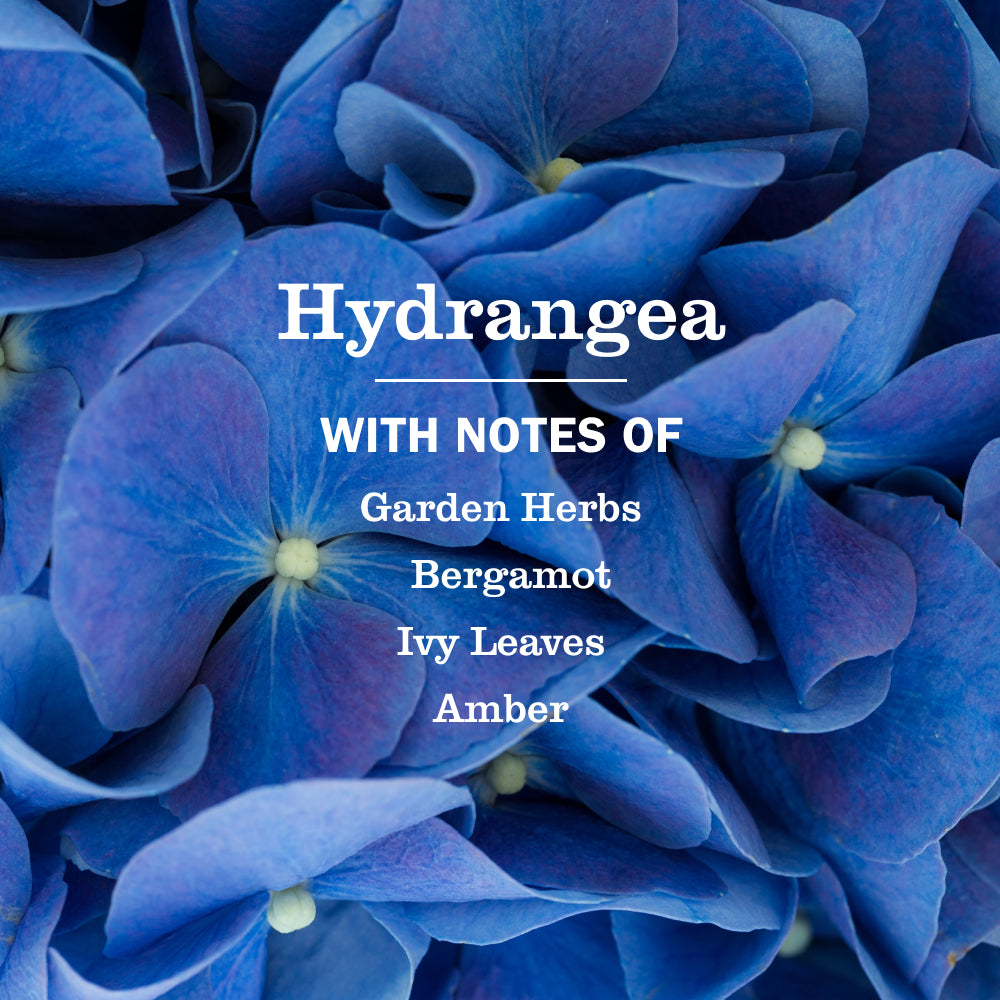 Hydrangea Liquid Hand Soap