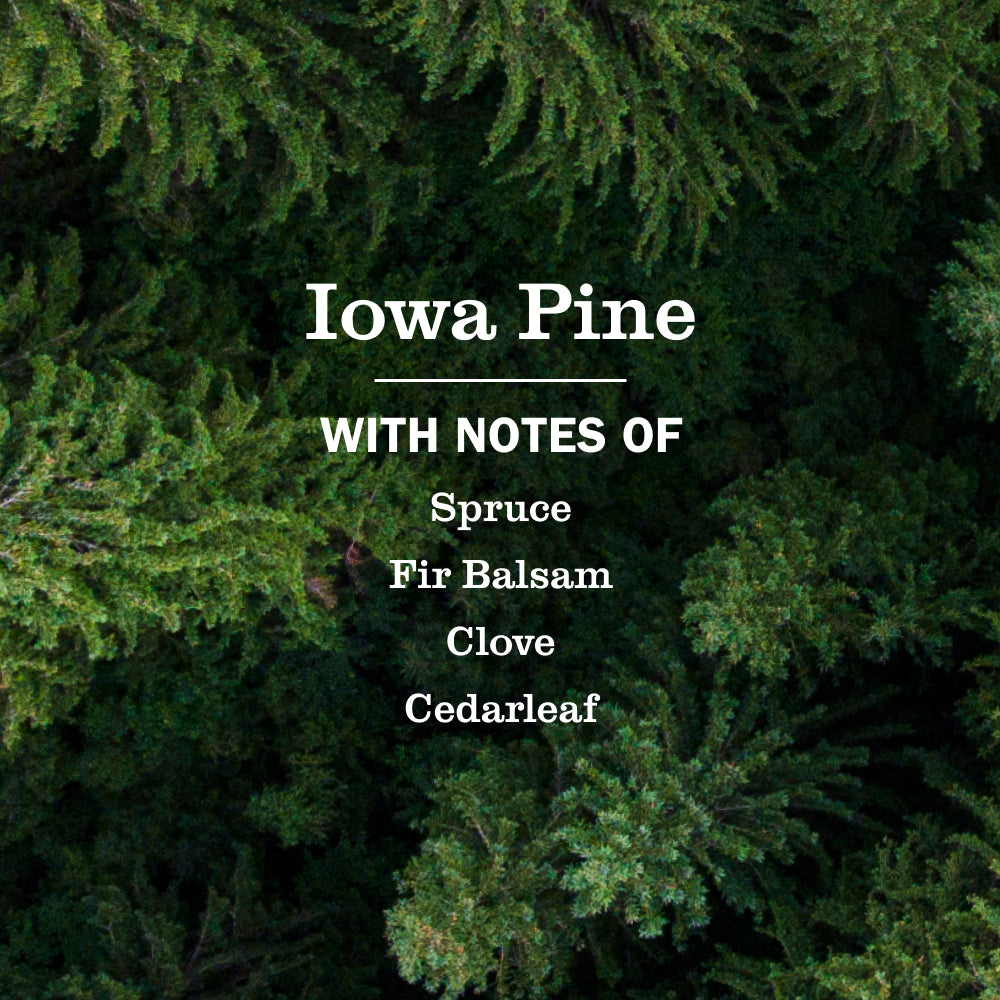 Iowa Pine Liquid Hand Soap & Refill Set